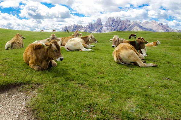 Piazza Prato, famosa meseta en los Dolomitas, en el Tirol del Sur — Foto de Stock