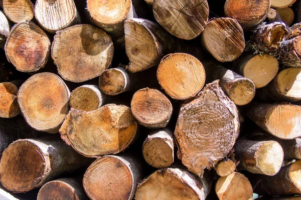 A stack of cut wood — Zdjęcie stockowe