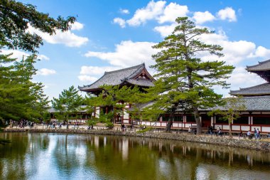 Nara Todaiji tapınakta. Japonya