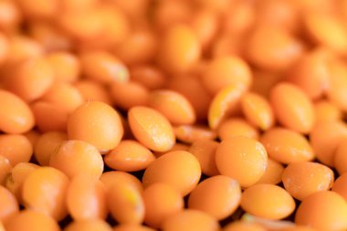 Pişmemiş kırmızı mercimek tanecikleri dokusu