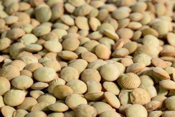 Textura de grãos de lentilha verde não cozida — Fotografia de Stock