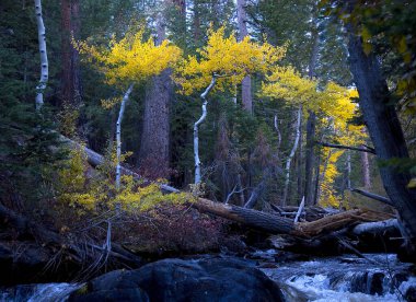 SIERRA NEVADA 'DA DAĞLARINDA AUTUMNUMN' DA SÜRÜNDÜRÜNÜ SÜRÜNÜYOR