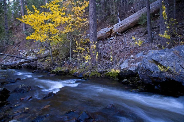 Colorful Aspens Creek Slow Exposure Autumn Sierra Nevada Mountains California — Stock fotografie