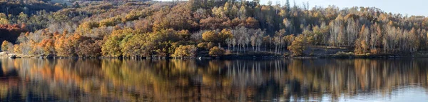 Colores Otoño Han Llegado Embalse Kolob Sur Utah — Foto de Stock