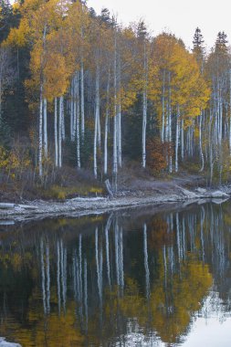 Güney Utah 'taki Kolob Barajı' na sonbahar renkleri ulaştı..