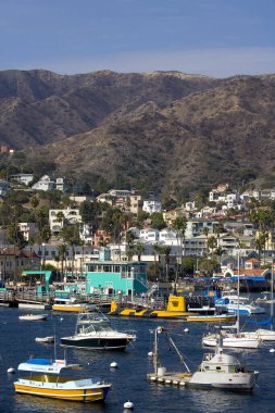 CATALINA ADA AVALON Limanı KAYIP Melekleri, CALIFORNIA