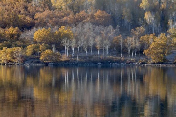 Fall Colors Have Arrived Kolob Reservoir Southern Utah — Stock Photo, Image