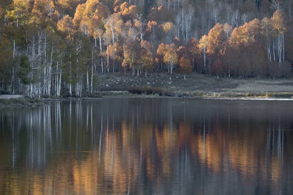 Colori Autunno Sono Arrivati Kolob Reservoir Nel Sud Dello Utah — Foto Stock