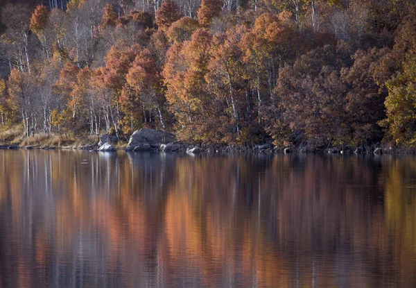 Güney Utah 'taki Kolob Barajı' na sonbahar renkleri ulaştı..