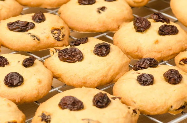 Homemade raisin cookies — Stock Photo, Image