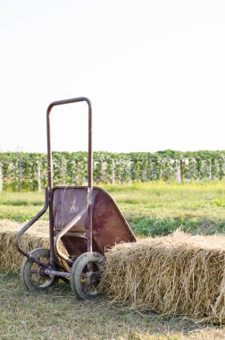Tarım alanında el arabası