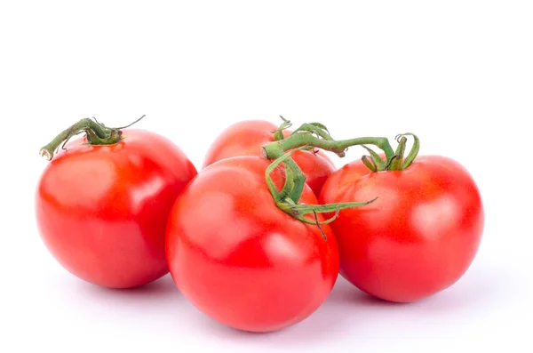 Tomates orgânicos sobre fundo branco — Fotografia de Stock