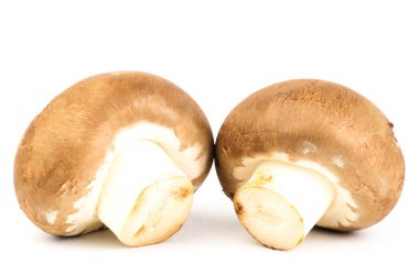 taze champignon mantar