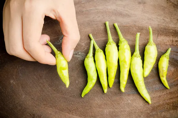 Zelená chilli v ruce — Stock fotografie