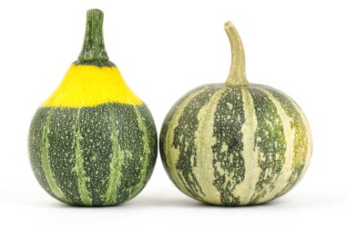 beyaz arkaplanda kabaklar