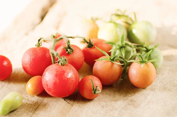 Tomates frescos em vegetais orgânicos de madeira — Fotografia de Stock