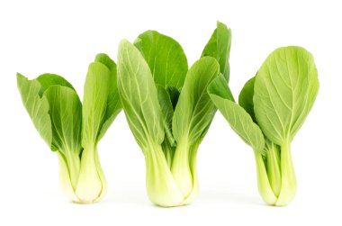 Bok choy (Çin lahanası) beyaz arka planda izole