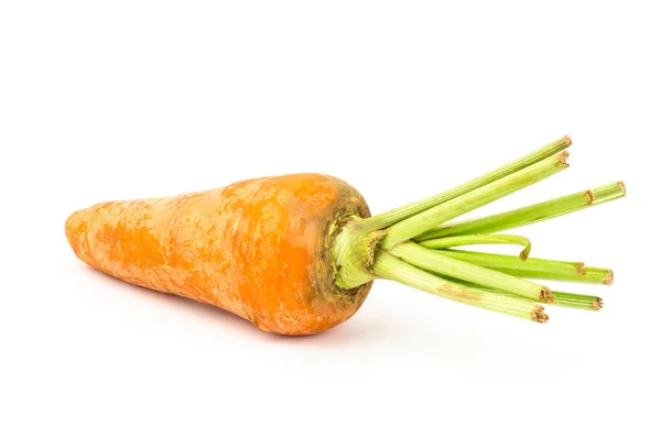 Сырая морковь на белом фоне — стоковое фото