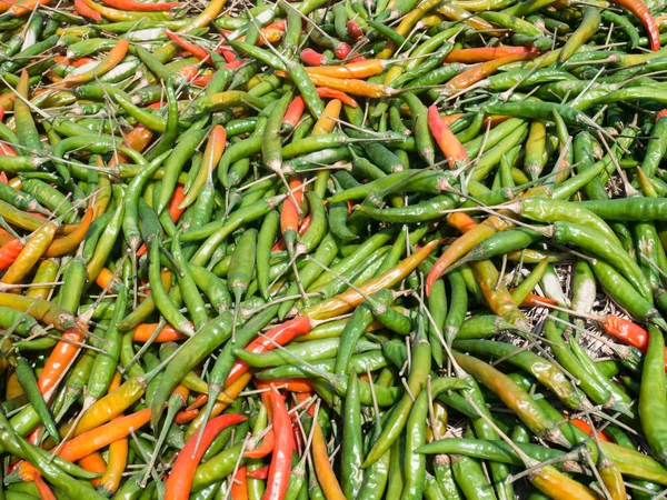 Green and red chili in organic farmer market,chili background