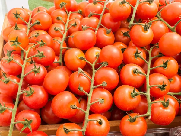 Tomates frescos no mercado dos agricultores biológicos — Fotografia de Stock