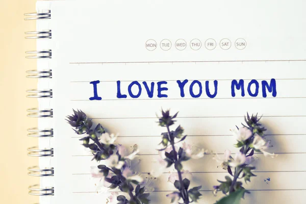 Mother's day, I love u mam handschrift op laptop — Stockfoto