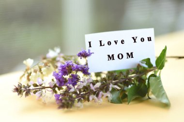 Çiçek buketi ben ile anne metin kartta seni seviyorum