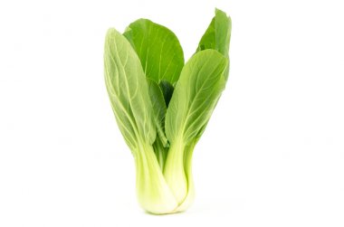 Beyaz arka plan üzerinde bok choy (Çince lahana)