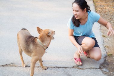 Kadın köpekle oynuyor.