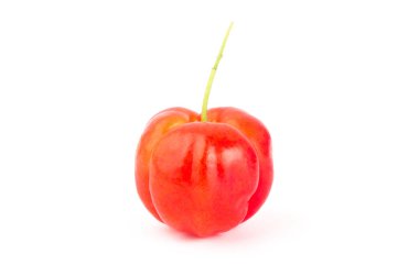 Beyaz zemin üzerine kırmızı Acerola kiraz
