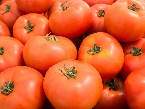 Pomodori freschi verdure per cottura — Foto Stock