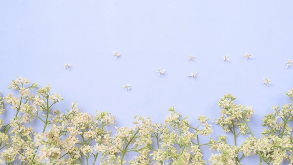 春天花开花背景 顶部视图 — 图库照片