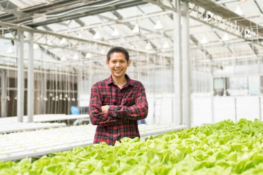 Hydroponics sebze çiftliğinde Asyalı çiftçi