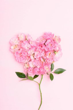 Pembe arka planda güzel pembe güller (kalp şeklinde), Sevgililer Günü konsepti