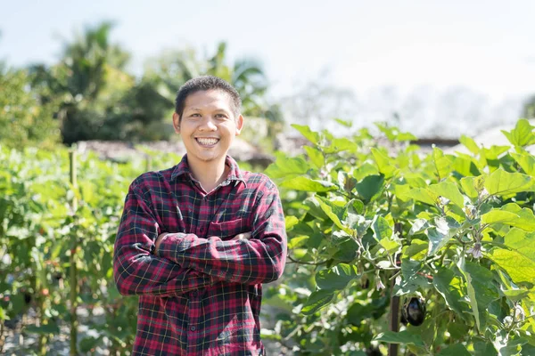 Asian farmer in organic garden — 스톡 사진