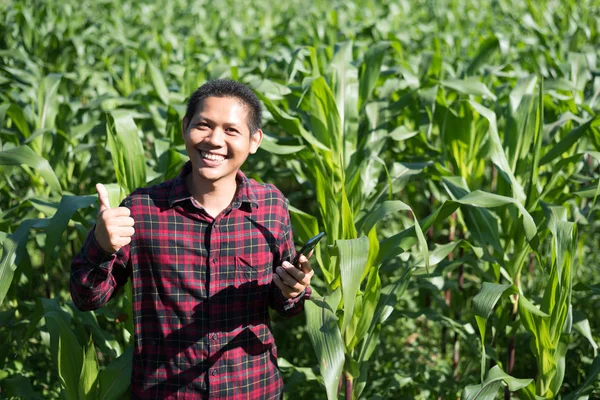 옥수수 밭에 사는 아시아 농부 — 스톡 사진