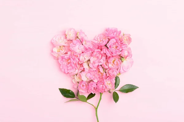 Vackra Rosa Rosor Blomma Rosa Bakgrund Hjärtform Alla Hjärtans Dag — Stockfoto