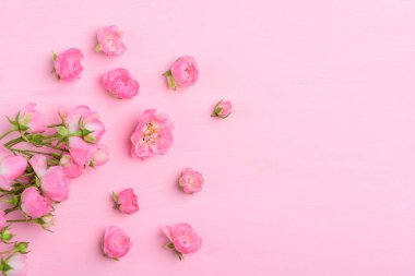 Pembe arka planda çiçek açan güzel pembe güller.
