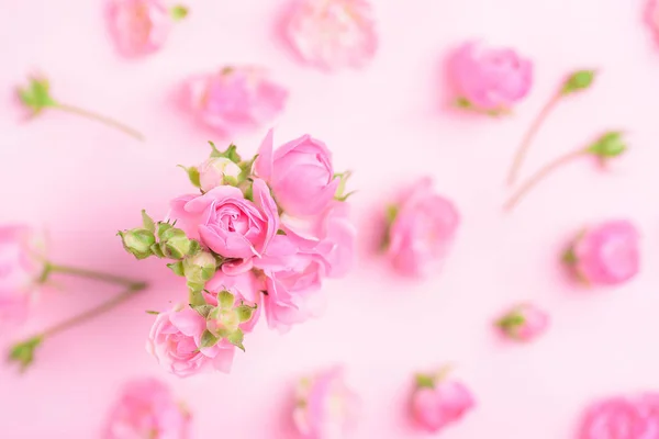 Närbild Rosa Rosor Blommar Rosa Bakgrund — Stockfoto