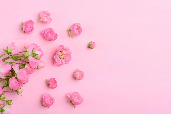 Hermosas Rosas Rosadas Floreciendo Sobre Fondo Rosa Con Espacio Copia — Foto de Stock