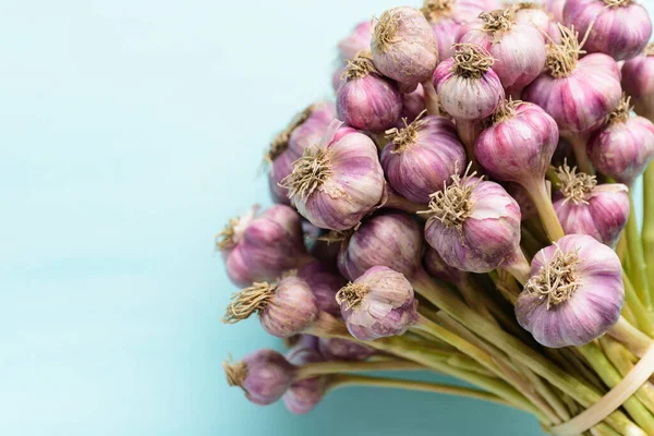 Bunch Fresh Garlic Bulb Pastel Color Background Preparing Cooking Food — Stock Photo, Image