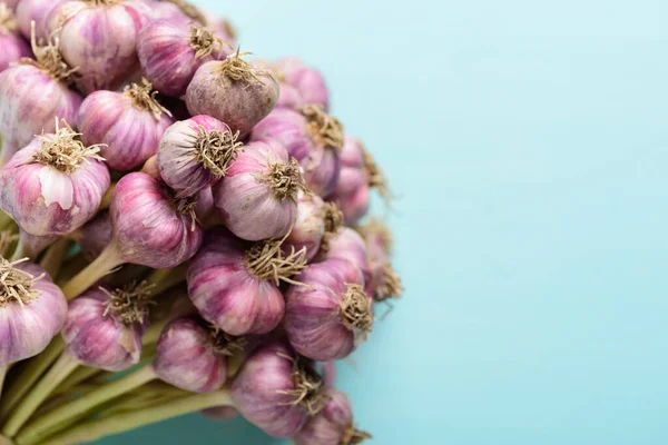 Bunch Fresh Garlic Bulb Pastel Color Background Preparing Cooking Food — Stock Photo, Image