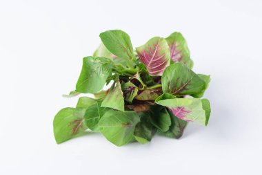 Beyaz arka planda yeşil Tayland ıspanak yaprağı veya yenilebilir amaranth (Asya bitkisi), organik sebze