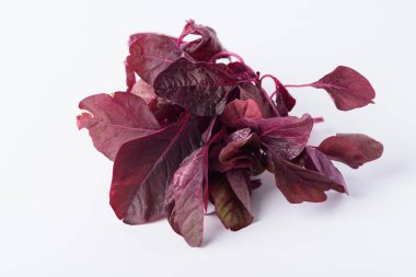 Beyaz arka planda kırmızı Tayland ıspanak yaprağı veya yenilebilir amaranth (Asya bitkisi), organik sebze