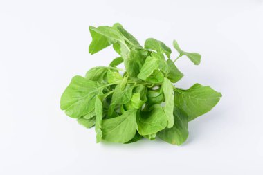 Beyaz arka planda yeşil Tayland ıspanak yaprağı veya yenilebilir amaranth (Asya bitkisi), organik sebze
