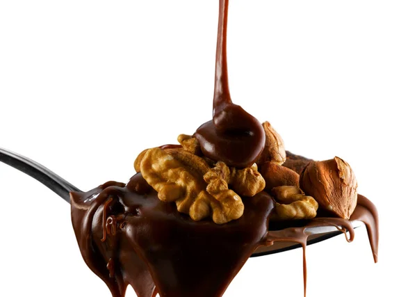 Frutta secca e cioccolata — Stock fotografie