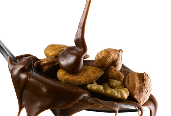 Frutta secca e cioccolata — ストック写真