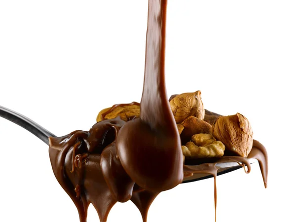 Frutta secca e cioccolata — Stock fotografie