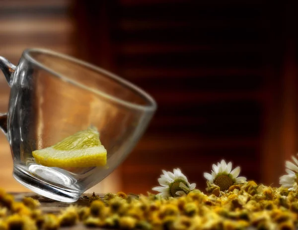 Hot Infusion Chamomile — Stock Photo, Image