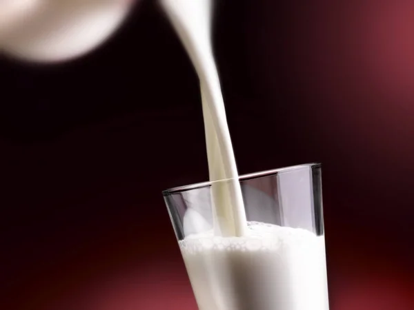 Milk All Its Forms — Stock Photo, Image