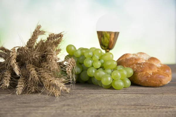 First Holy Communion — Stock Photo, Image